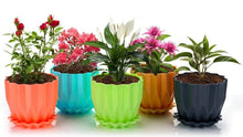 Cammy Plastic Star Flowerpots with Tray Multicolor Set of 5 Piece