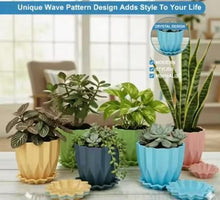 Cammy Plastic Star Flowerpots with Tray Multicolor Set of 5 Piece